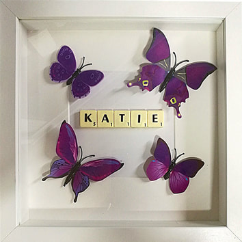 purple box frame butterfly